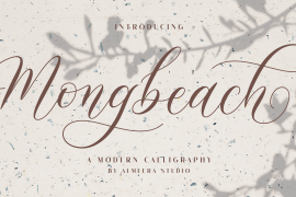 Mongbeach Script