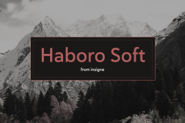 Haboro Soft Norm Regular