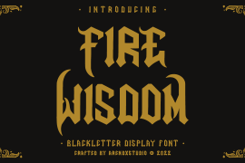Fire Wisdom Regular