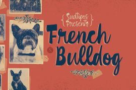 French Bulldog Script