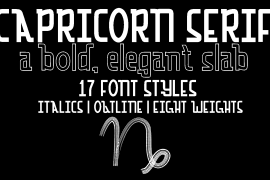 Capricorn Serif Black Italic