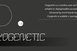Exogenetic
