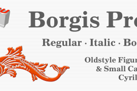 Borgis Pro Bold