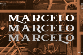 Marcelo Regular