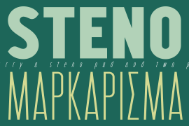 Steno Pro Black Condensed Italic