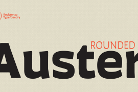 Auster Rounded Book Italic
