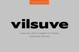 Vilsuve Bold Oblique