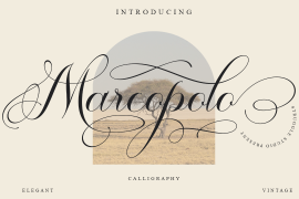 Marcopolo  Regular