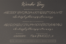 Wonder Bay Regular