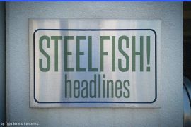 Steelfish Italic
