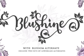 Blushine Regular