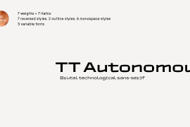 TT Autonomous Variable Mono Italic
