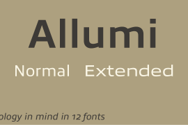 Allumi Std Extended Regular