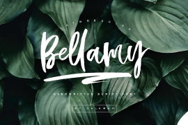 Bellamy Regular