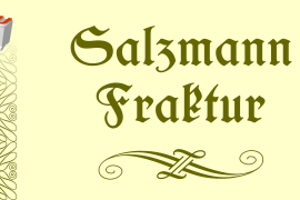 Salzmann Fraktur Medium