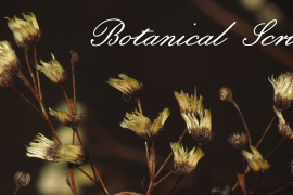 Botanical Scribe