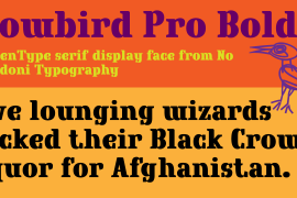 Crowbird Bold