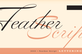 Feather Script