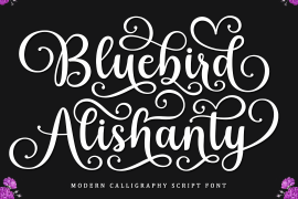 Bluebird Alishanty Regular