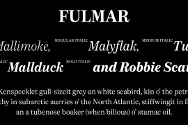 Fulmar Bold