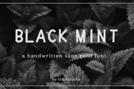 Black Mint Regular