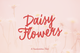 Daisy Flowers Regular