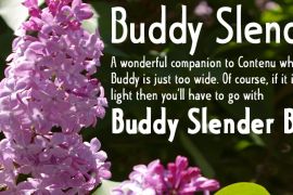 Buddy Slender Bold