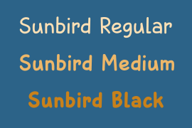 Sunbird Black Italic