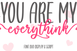 You are my everythink Script