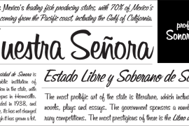 Sonora Pro Bold Italic