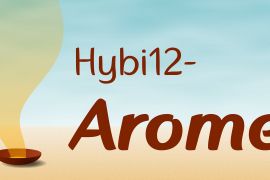 Hybi12 Arome Extra Bold Italic