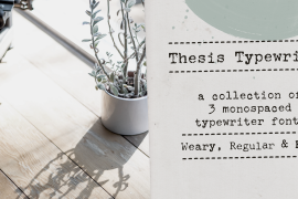 Thesis Typewriter Bold