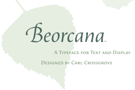 Beorcana Micro Pro Bold Italic