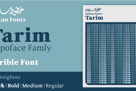 Tarim Bold