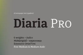 Diaria Pro Medium Italic