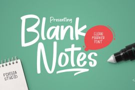 Blank Notes Regular