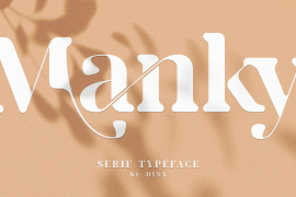 Manky Serif Typeface