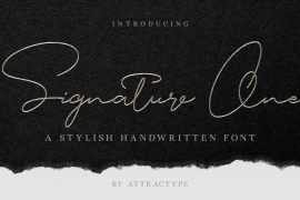 Signature One Regular