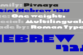 Pivnaya-Hebrew Regular