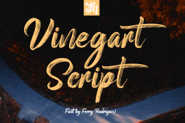 Vinegart Handwritten