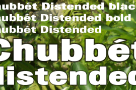 Chubbet Distended Black Italic