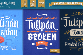 Tulipan Broken Ornaments