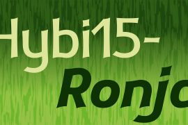 Hybi15 Ronja Bold Italic