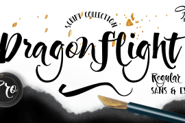 Dragonflight Pro Extra