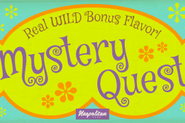 Mystery Quest Pro