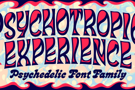 Psychotropic Experience Solid