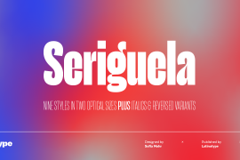 Seriguela Display Thin Reverse Italic