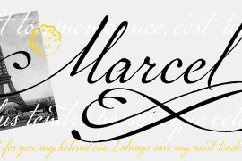 P22 Marcel Script Pro