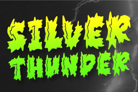 Silver Thunder Regular