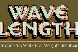 Wavelength Heavy Italic